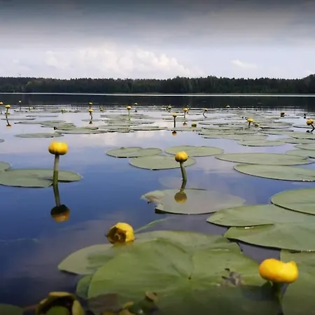 Jaktstuga Pod Sokolem