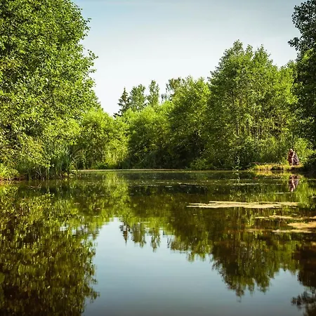 Pod Sokolem Ryn (Warmian-Masurian)